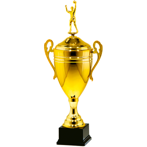 25110/C  puchar 43cm /cz.160/