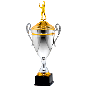 25112/C puchar 43cm /cz.160/