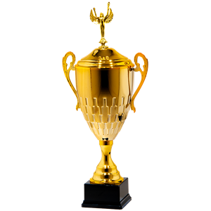 25128/B  puchar 47cm /cz.180/