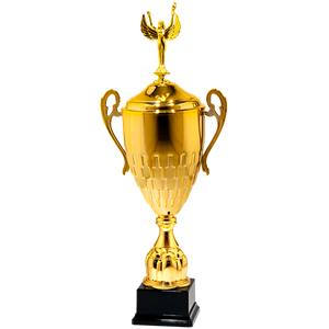 25130/C puchar 45cm /cz.160/