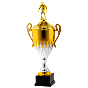 25132/B puchar 47cm /cz.180/