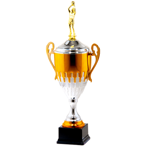 25132/C puchar 43cm /cz.160/