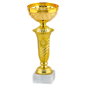 26781/B puchar 22cm /cz.80/