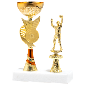 26801/C puchar 29cm /cz.100/