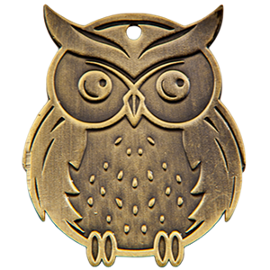 Etui EQ11 - 90x120 niebieskie do medalu Q11 sowa 