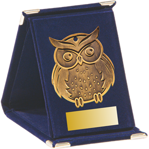 Etui EQ11 - 90x120 niebieskie do medalu Q11 sowa 