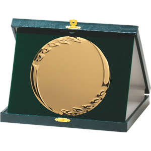 H012 etui zielone 21x17