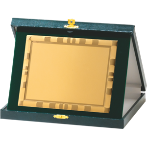 H012 etui zielone 21x17