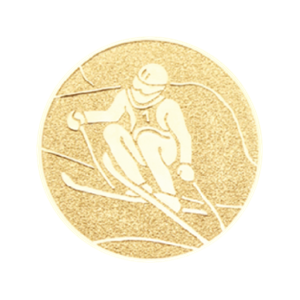 N7 Emblemat 50mm narty zjazd złoto