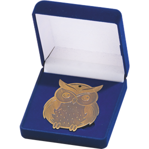 Q11/B - 57x68mm medal brąz sowa