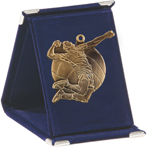 Q9/B - 61x73mm medal brąz piłka siatkowa