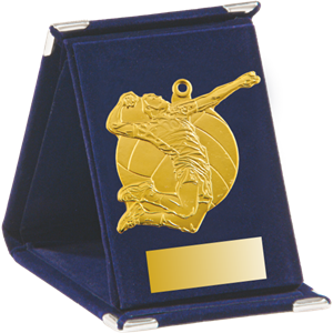 Q9/Z - 61x73mm medal złoto piłka siatkowa