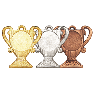 Z208 medal 55x50mm brąz 